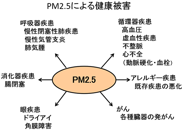 2 Pm2 5による健康被害について ビルトイン空気清浄機はトルネックス 2 Pm2 5による健康被害について ビルトイン空気清浄機はトルネックス