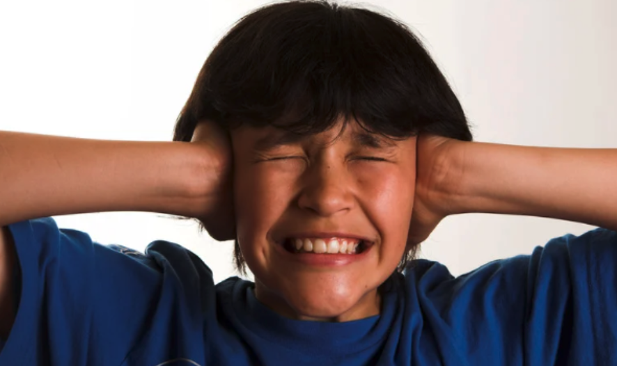 空気清浄機の異音に耳をふさぐ人