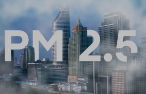 PM2.5によるアレルギー対策